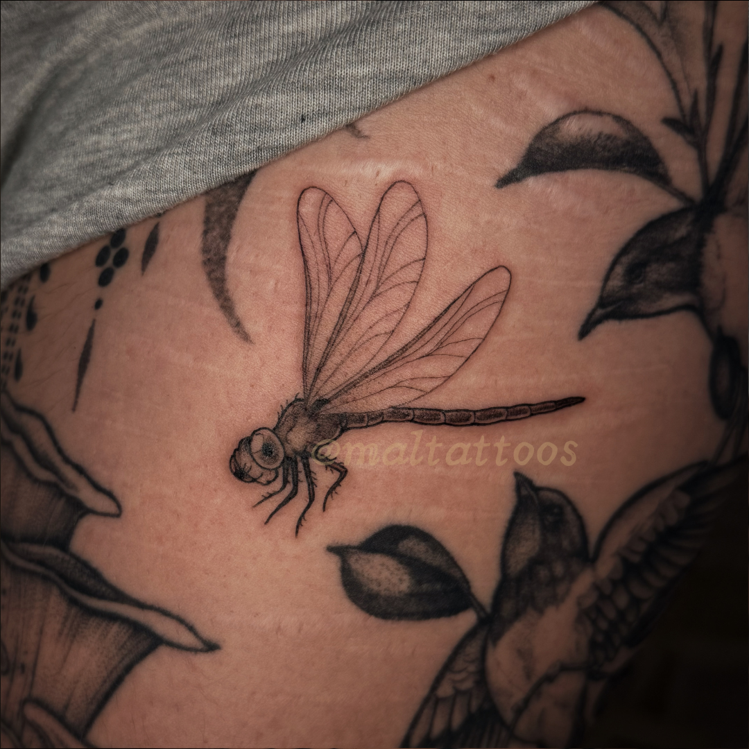 maltattoos mal miyares small cute dragonfly bug illustrative black and grey tattoo fineline