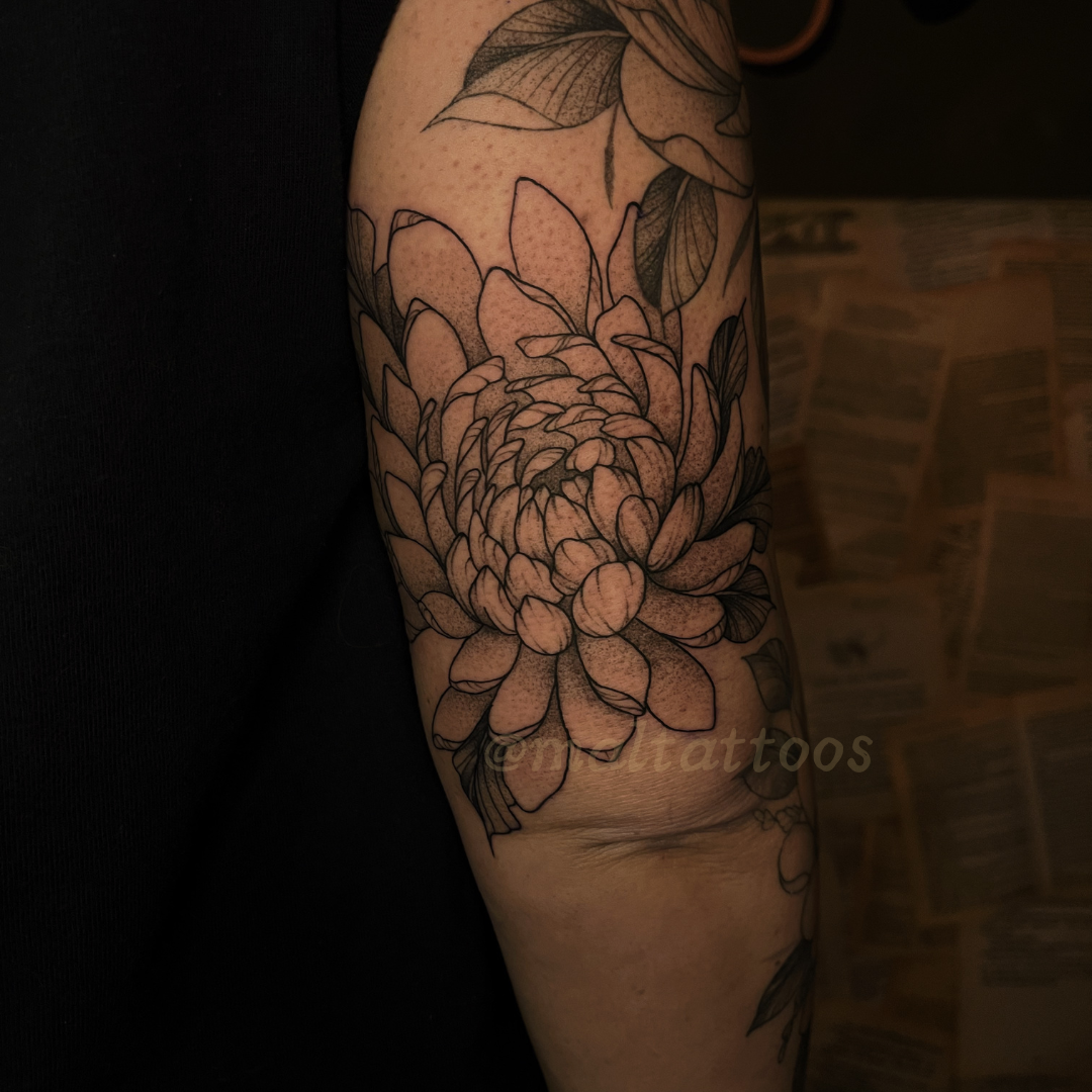 maltattoos mal miyares chrysanthemum illustrative black and grey tattoo fineline