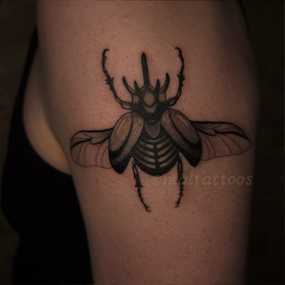 maltattoos mal miyares stylized stag beetle bug illustrative black and grey tattoo fineline