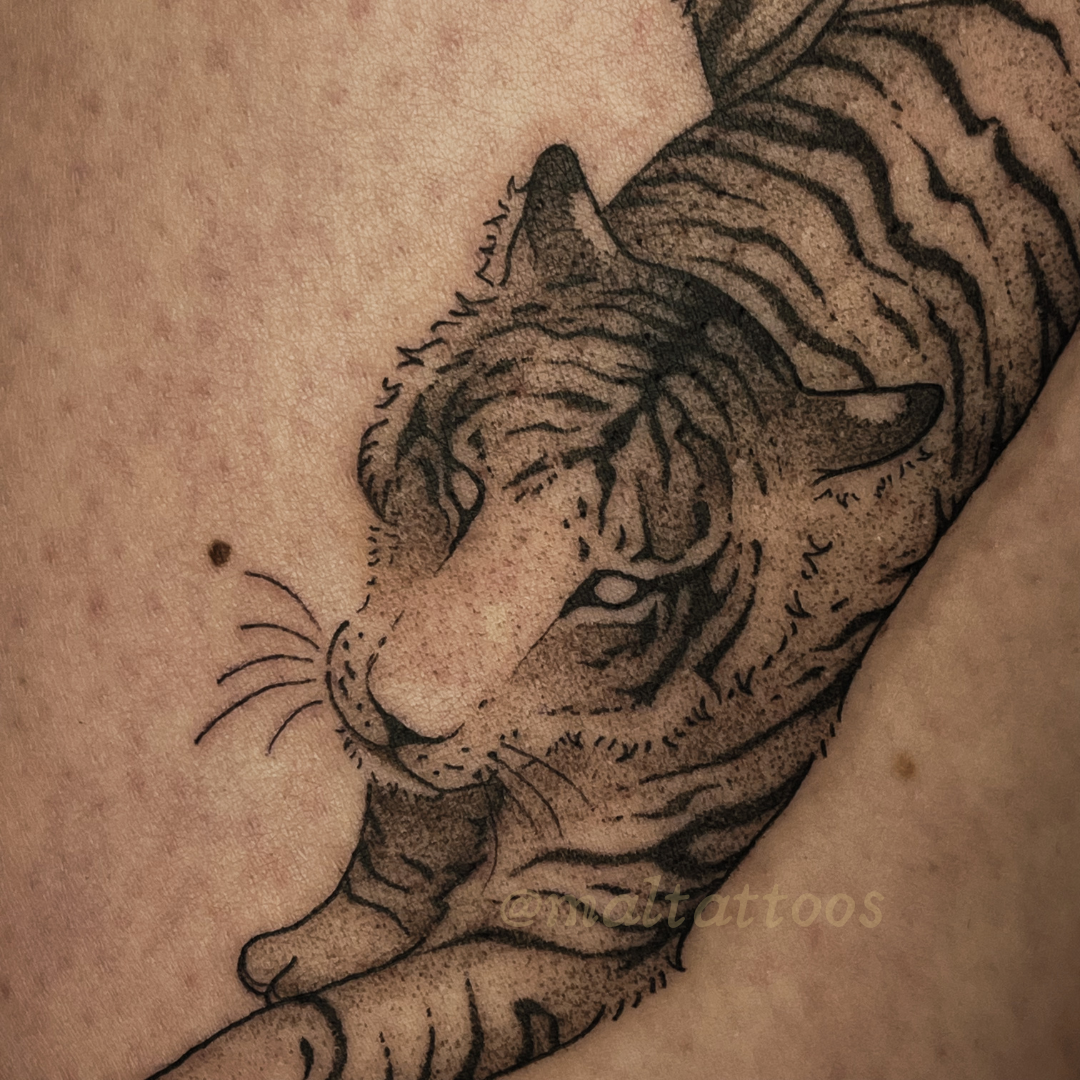 maltattoos mal miyares tiger pretty illustrative black and grey tattoo fineline