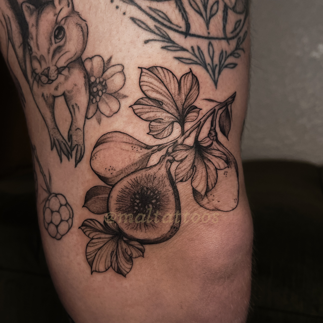 maltattoos mal miyares botanical fig branch illustrative black and grey tattoo fineline