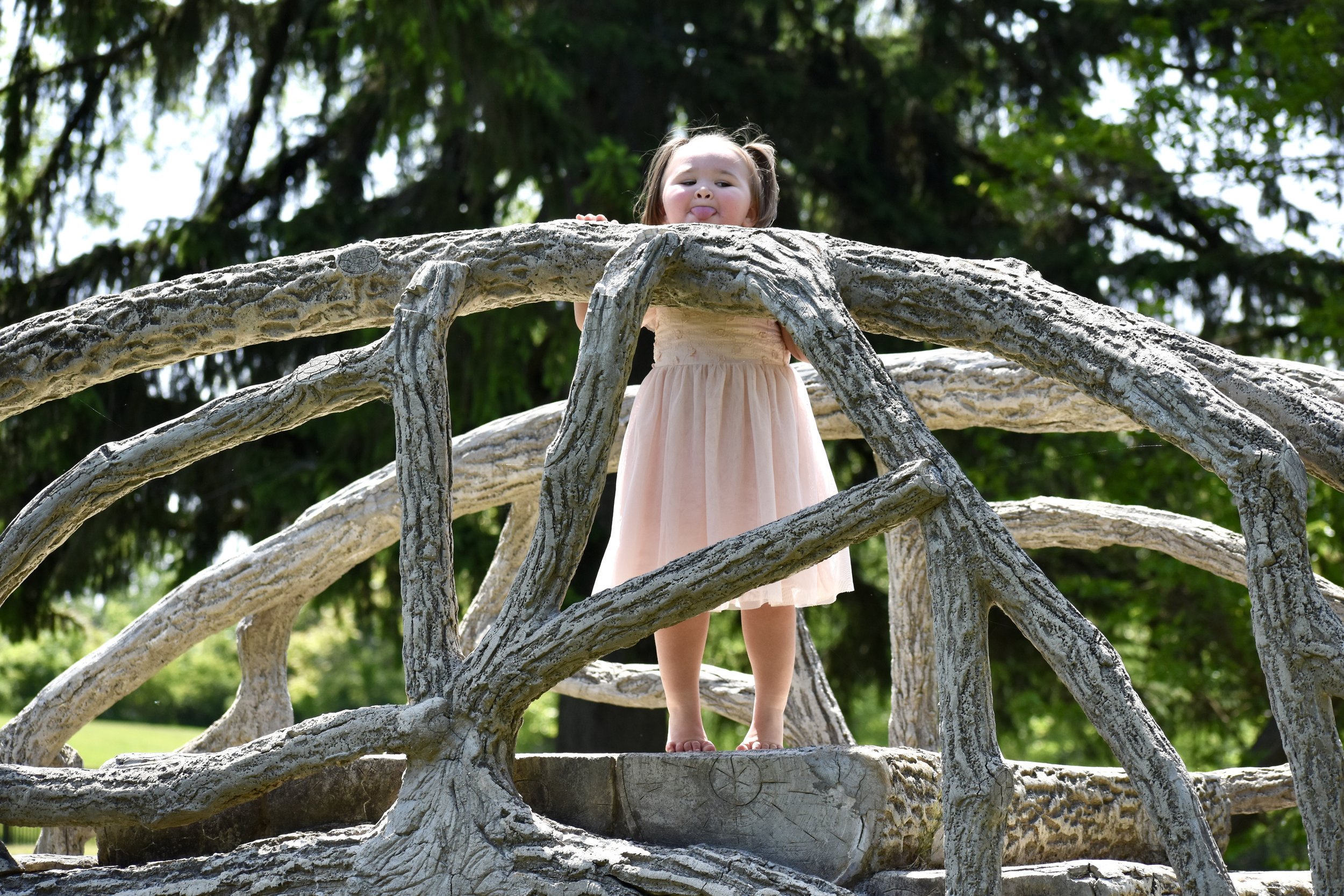 DSC_0315.jpeg