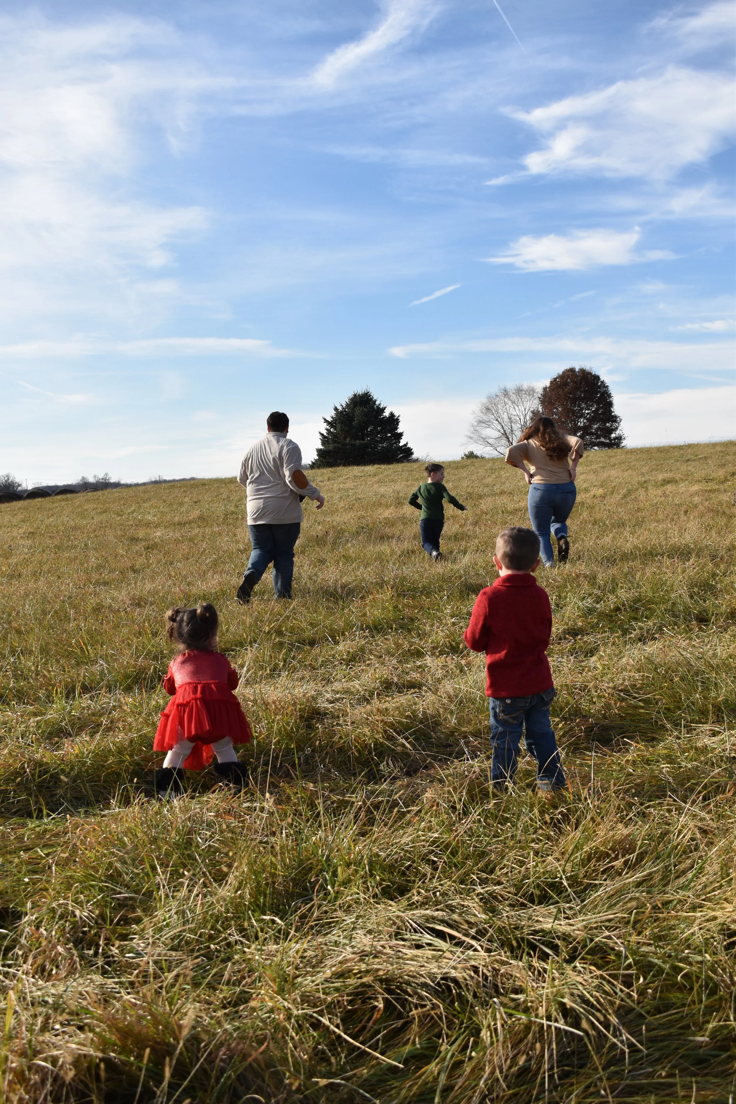 DSC_0178.jpeg