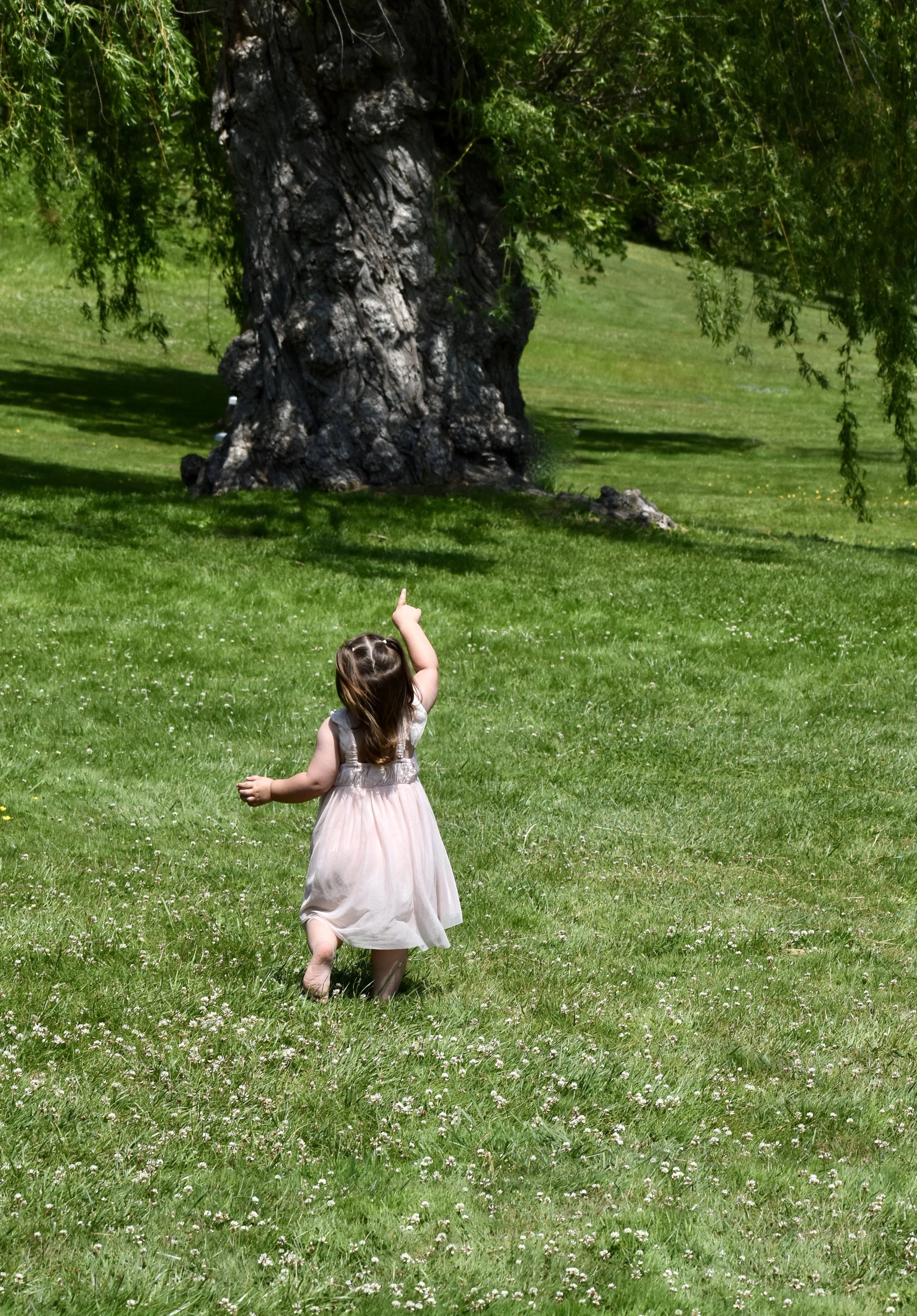 DSC_0337.jpeg