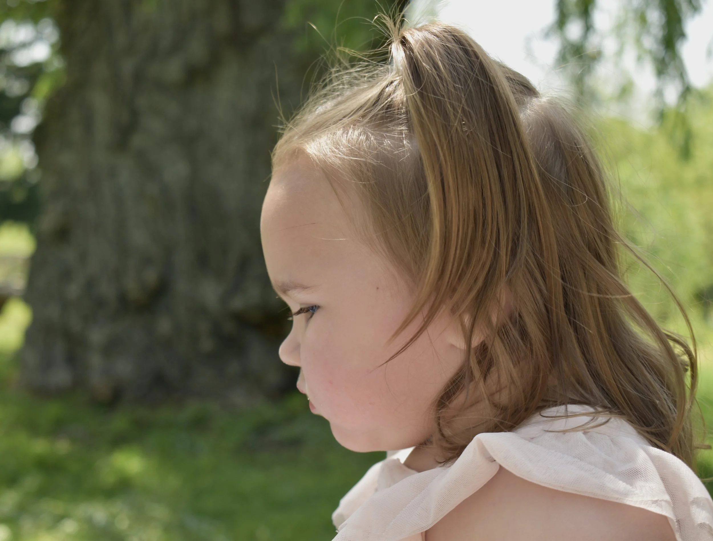 DSC_0356.jpeg