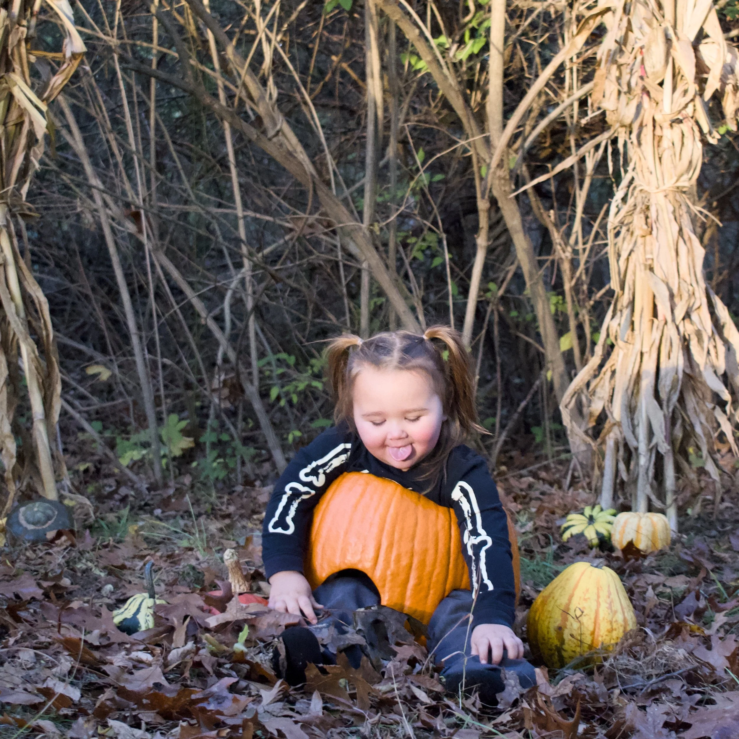 DSC_0821.jpeg