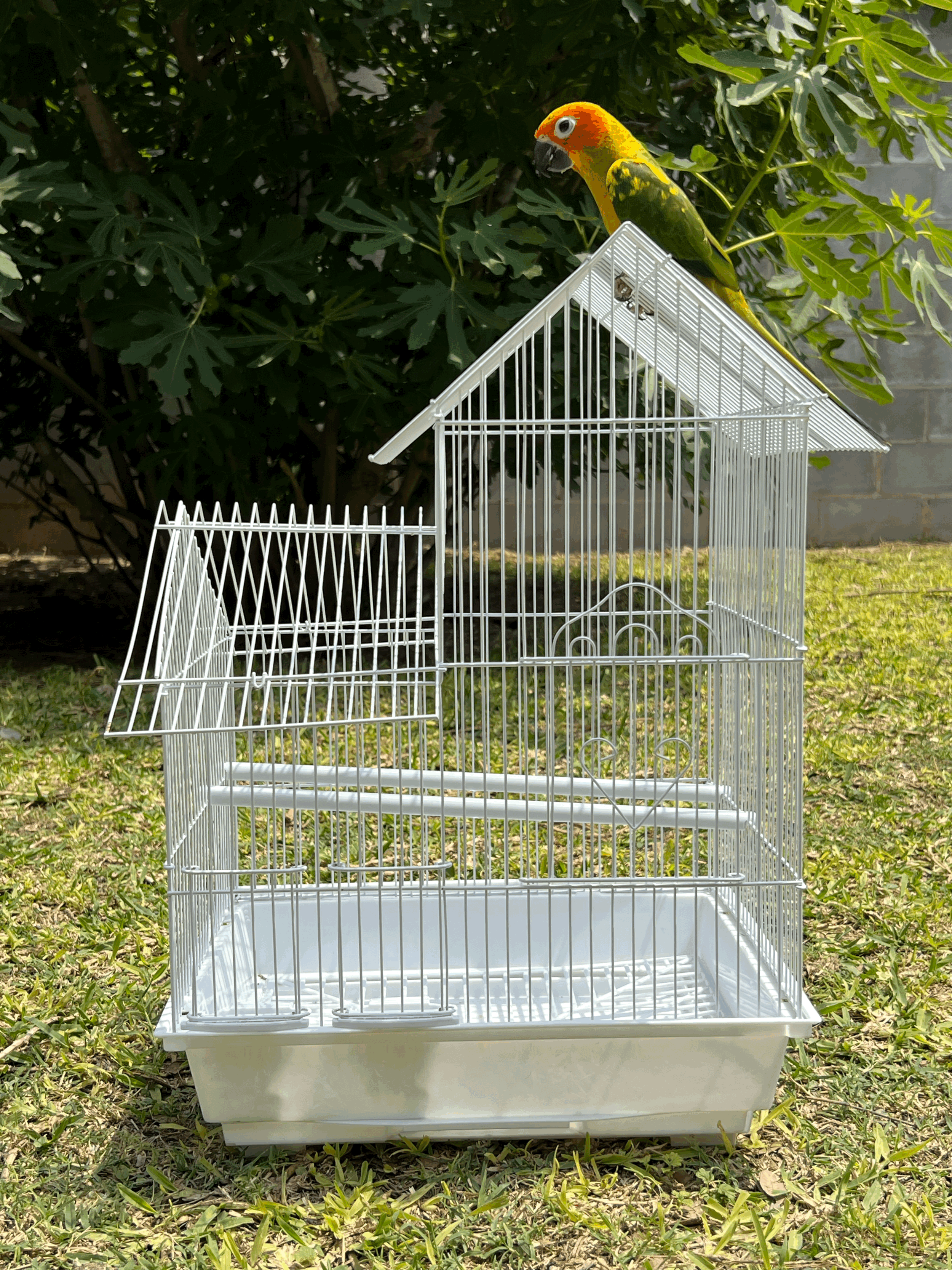 Villa Top Cage