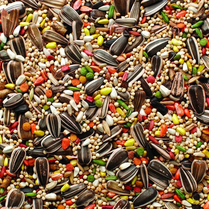 Supreme Cockatiel Seed