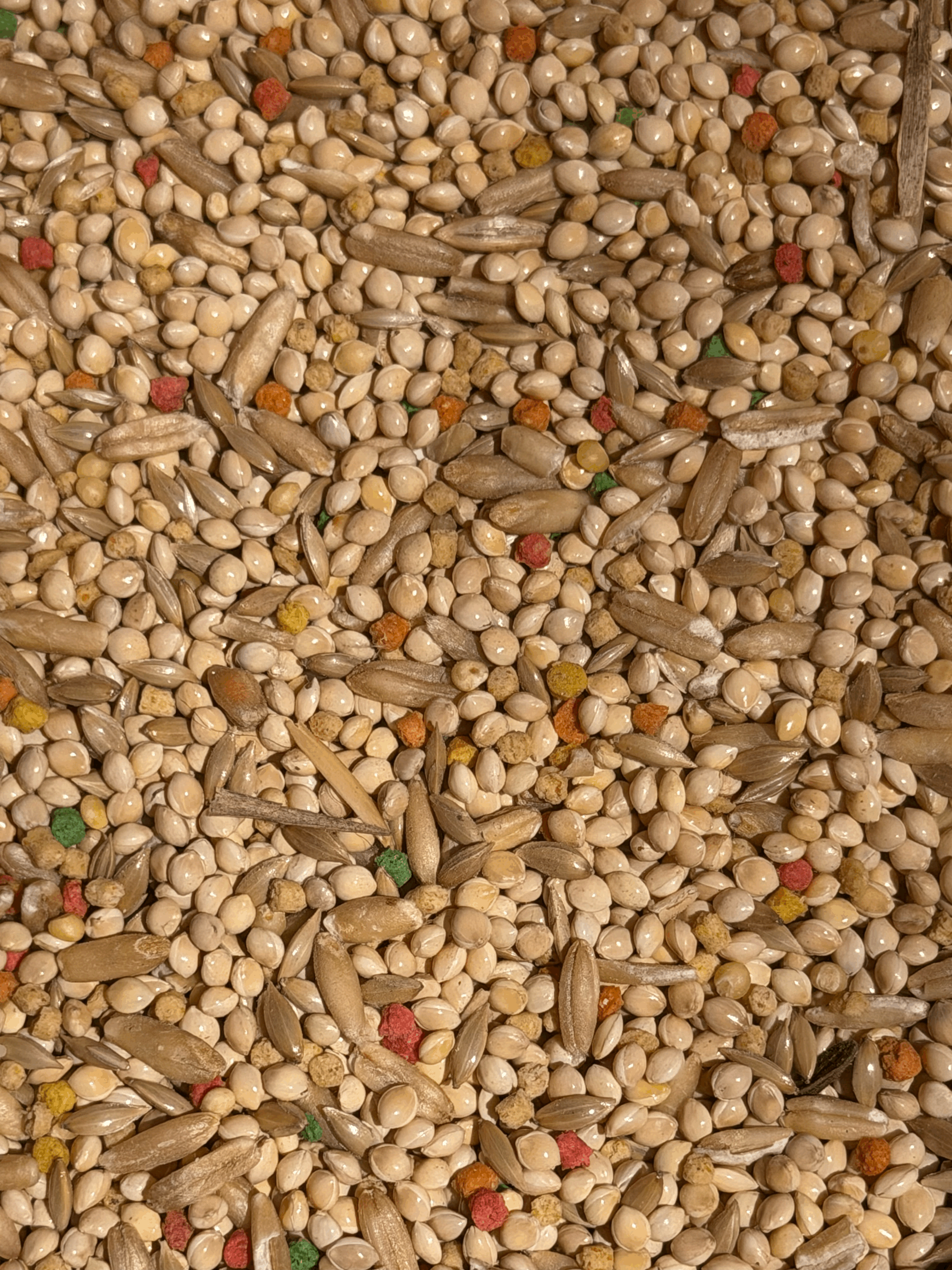 Supreme Parakeet Seed