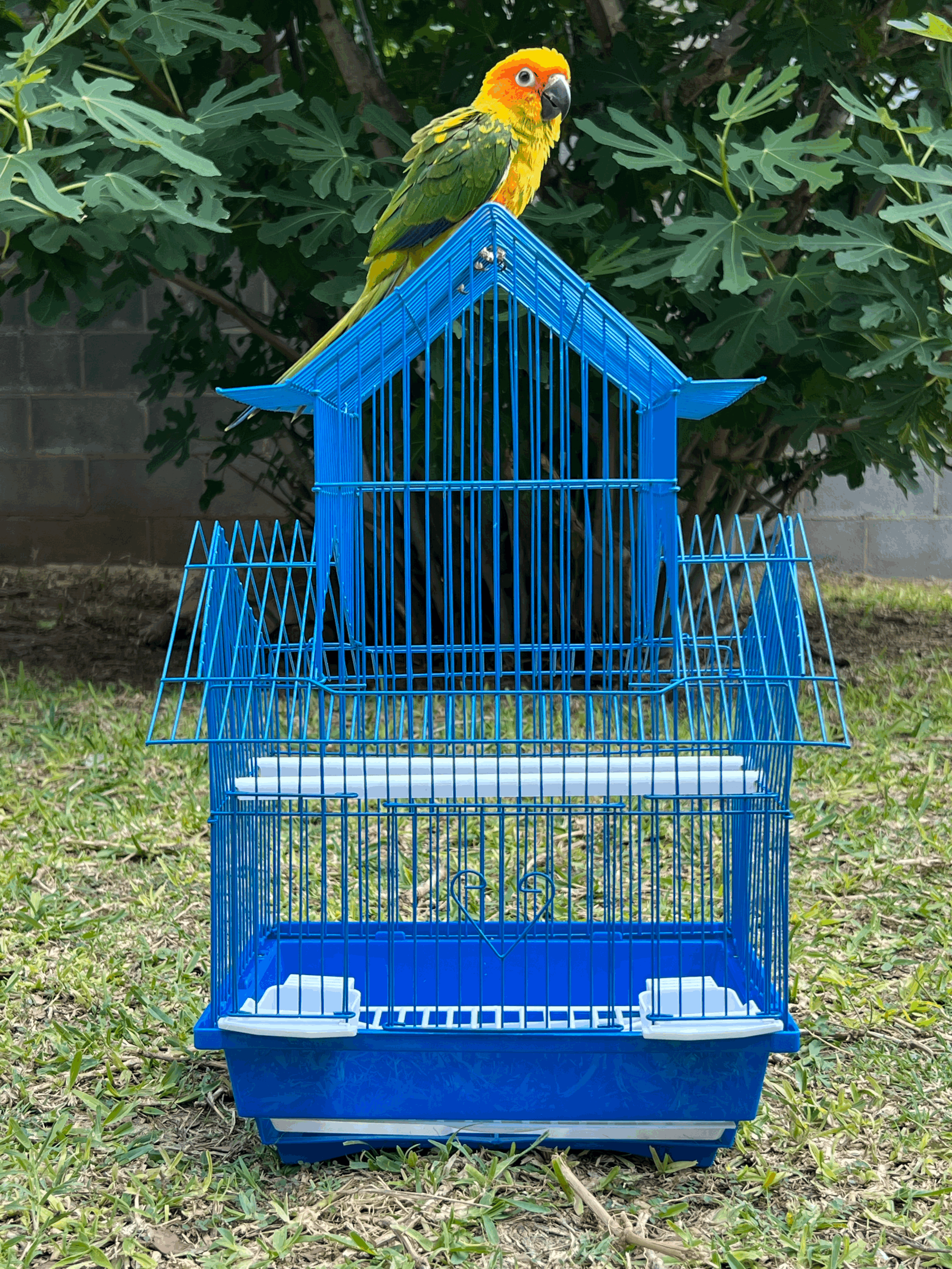 Pagoda Top Cage