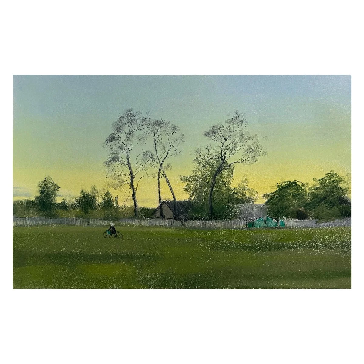 Morning Forest-1.jpg