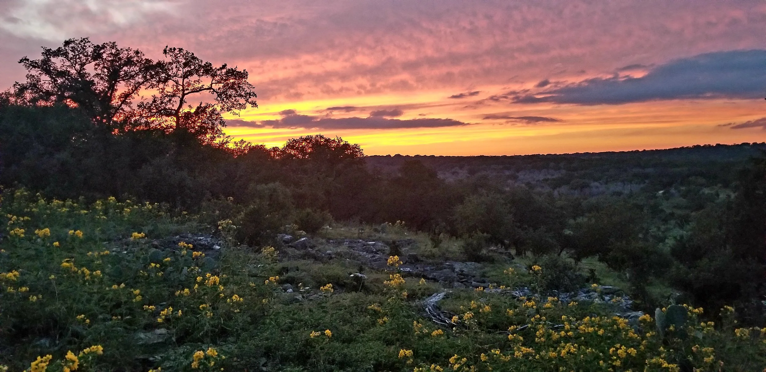 HILL COUNTRY SUNSET.jpg