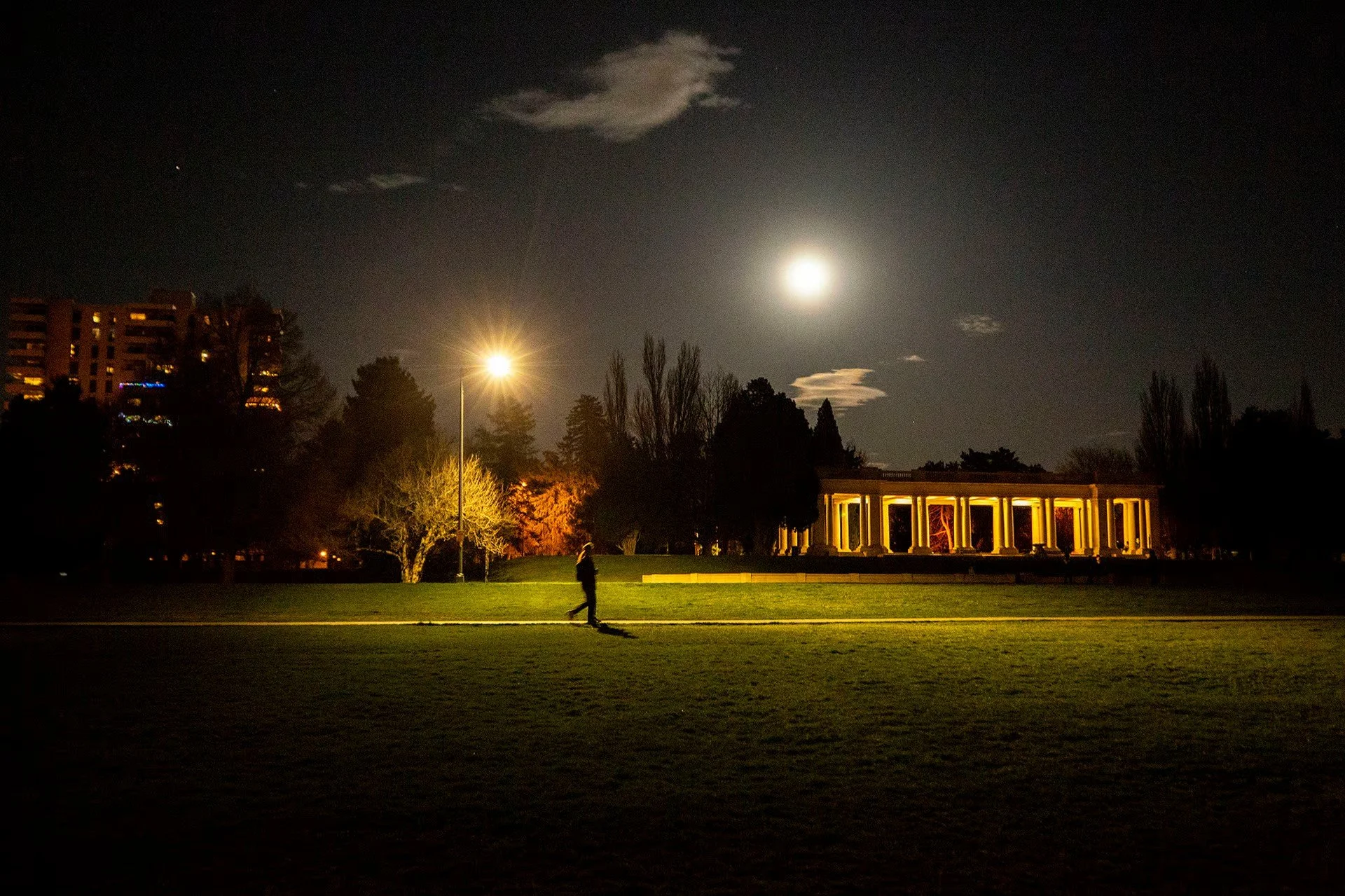 Nighttime park scene with a person walking on a path, illuminated by a streetlamp, with trees, a lit building, and a bright moon in the sky.