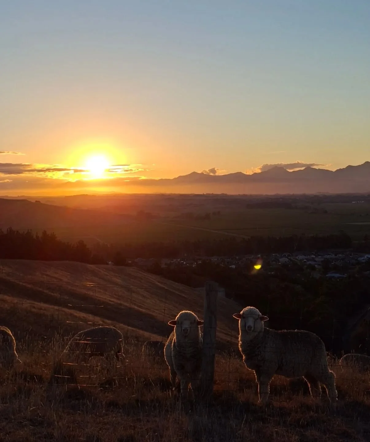 Find a way to Move your body that you love and that fits into your lifestyle and go do it ✨️ 

For me right now thats Move with Megs strength from home, with a side of Hill walks/runs (when time allows), adventures to playgrounds with my kids, family