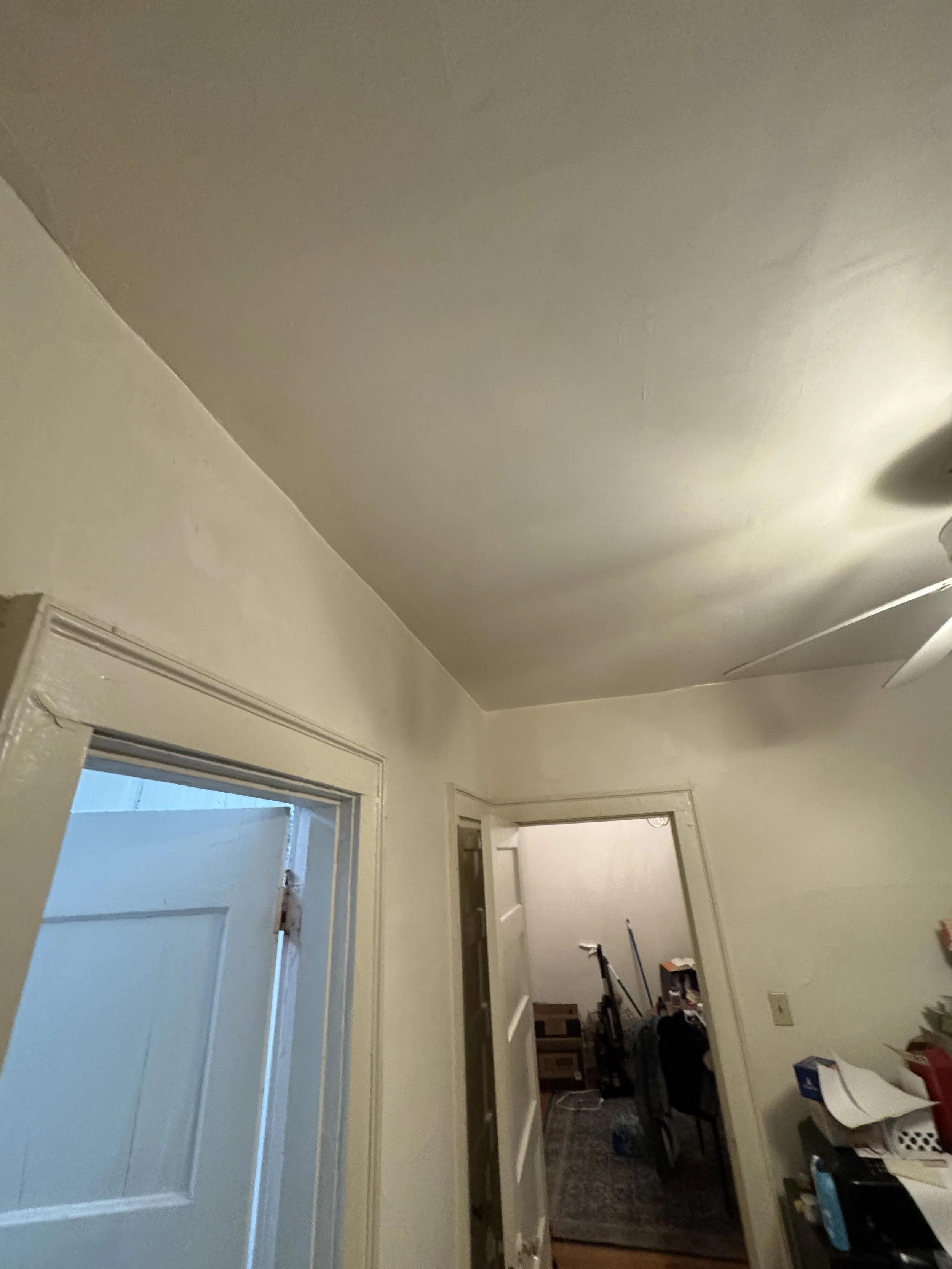 Plaster Ceiling Repair