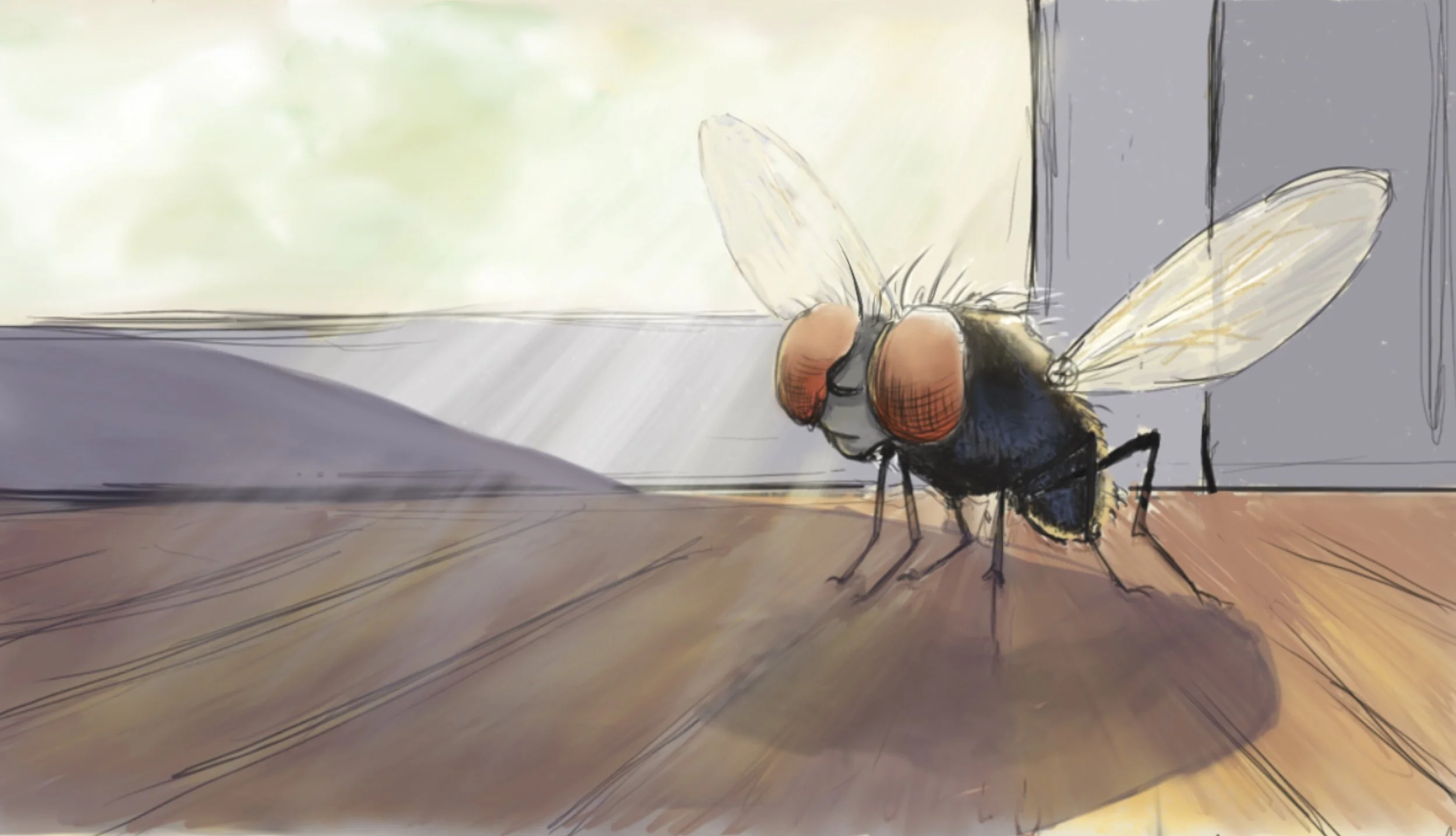 An image of a storyboard