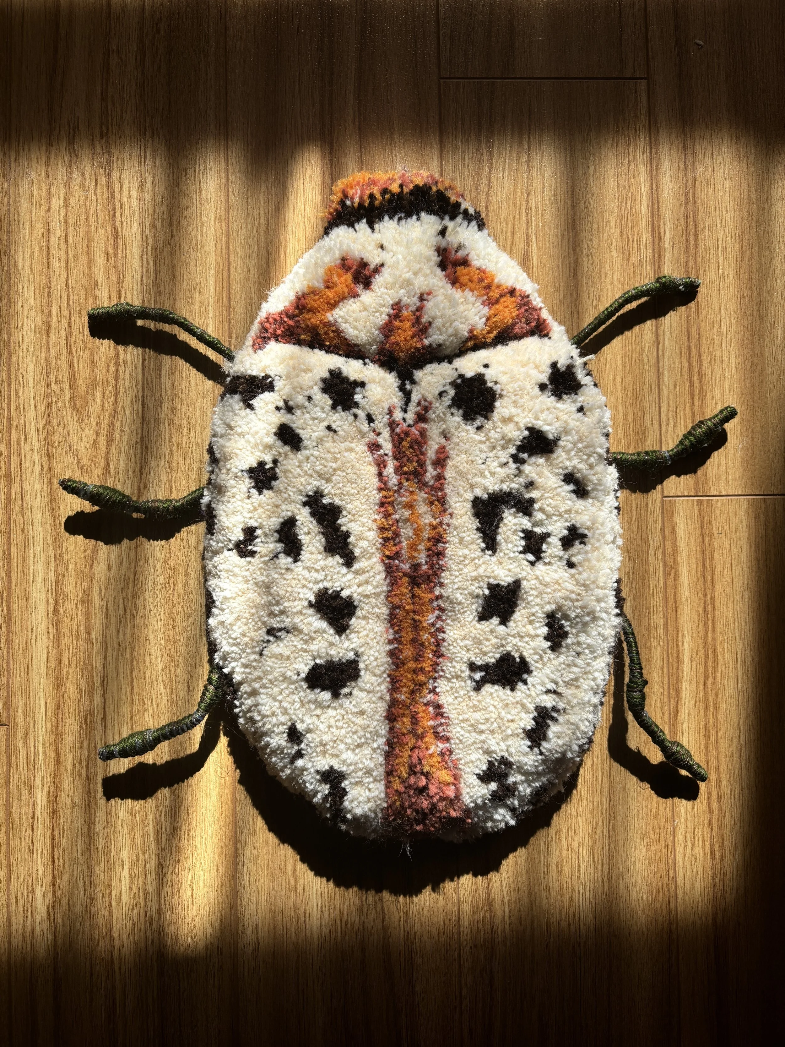 Warty Willow Leaf Beetle