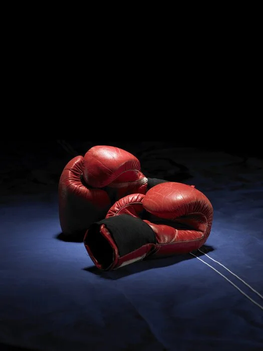 Sober Up Productions Boxing Gloves