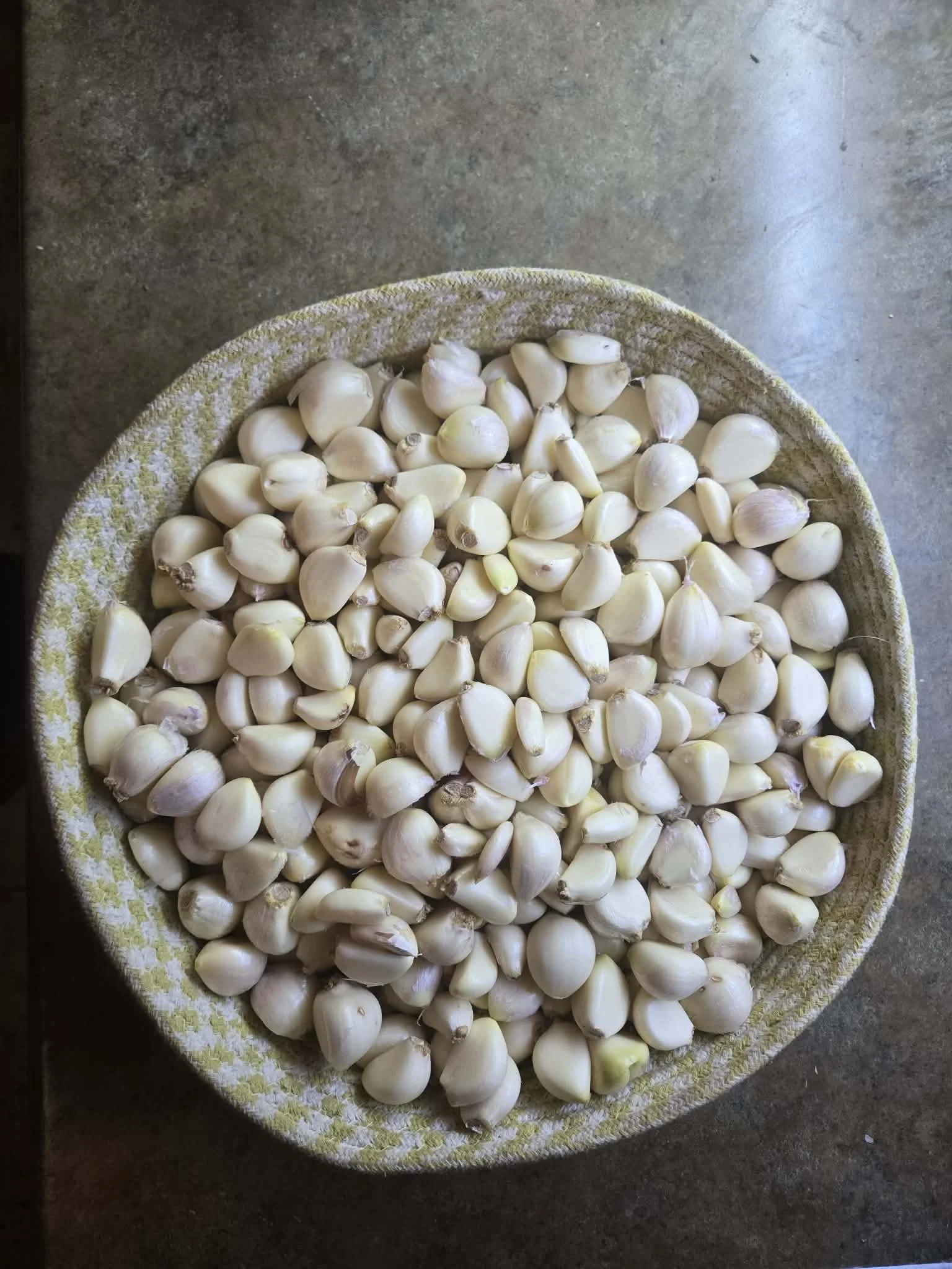 Organic Garden Montana