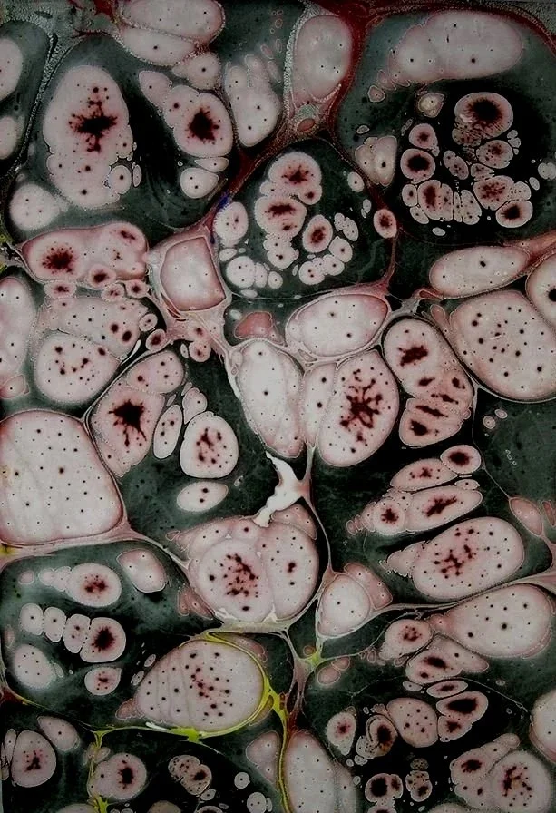 Abstract marbled pattern with pink, white, black, and greenish colors, resembling cells or organic shapes.