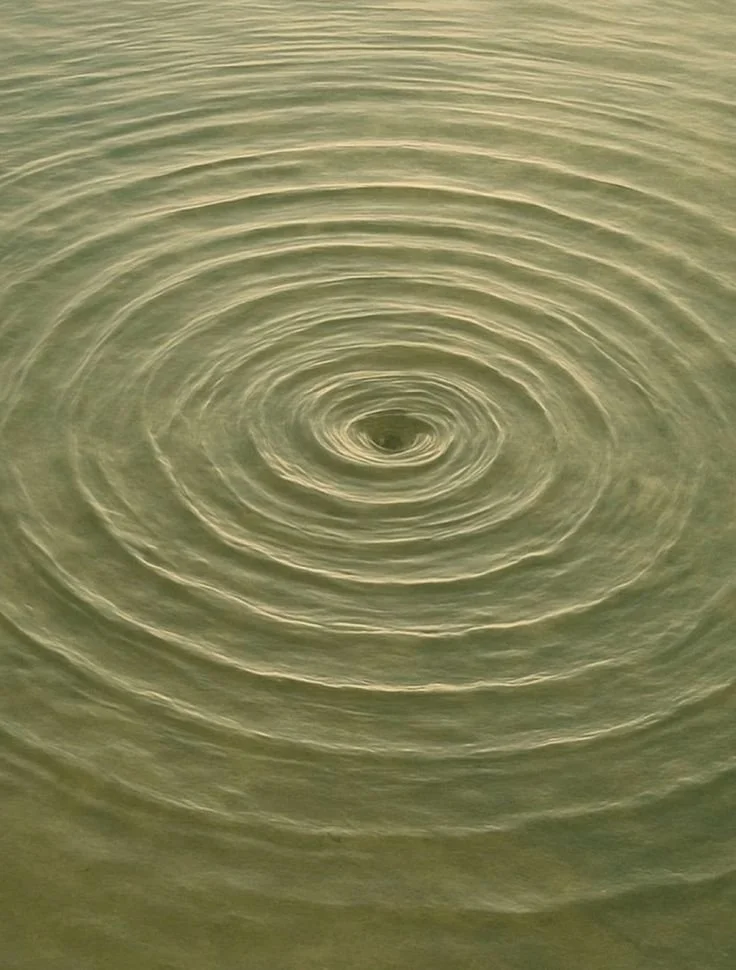 Close-up of ripples on a greenish water surface forming a circular pattern.