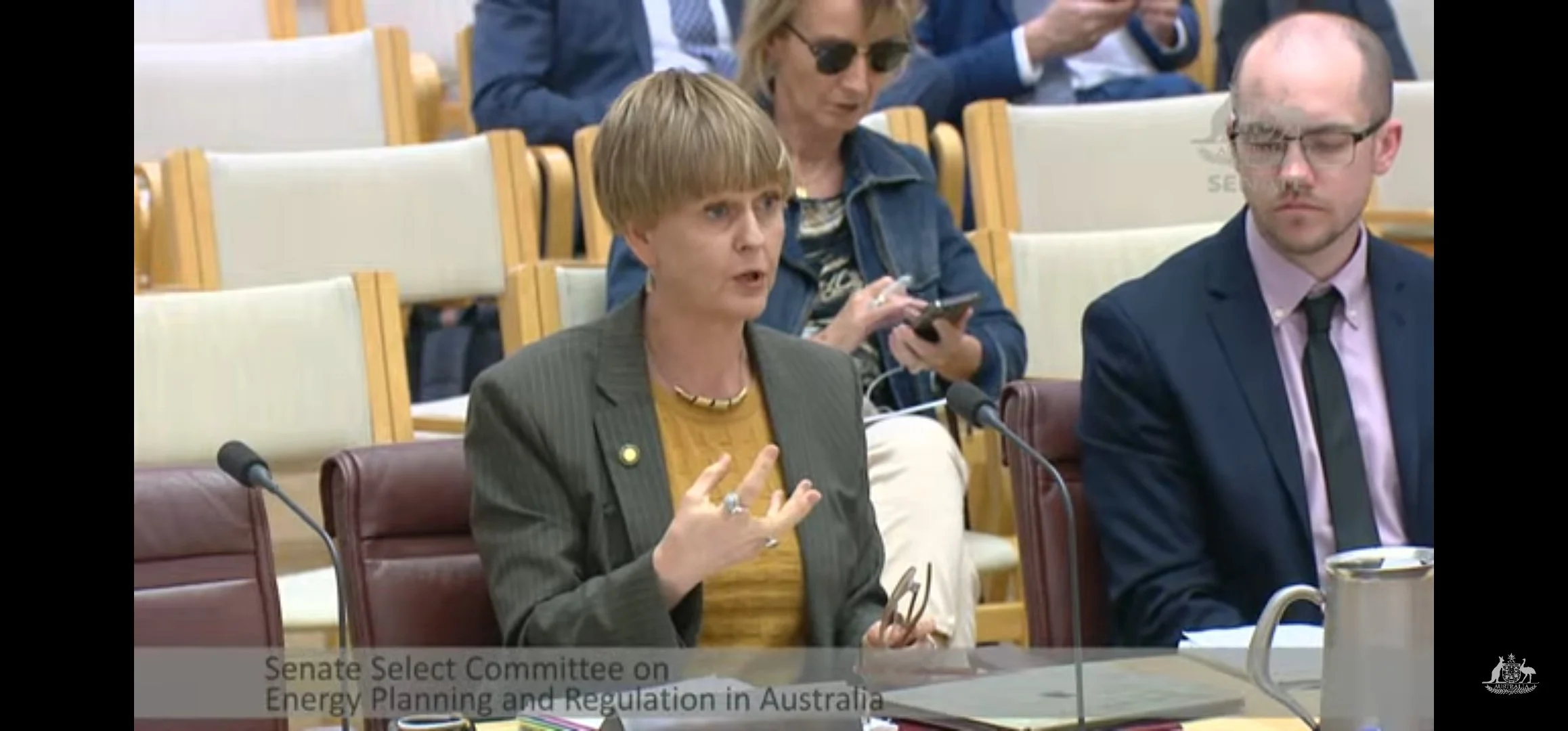 Dr Gabrielle Kuiper wearing a dark striped blazer and yellow top, is speaking at a Senate committee meeting about energy planning and regulation in Australia. She is gesturing with her right hand and holding glasses in her left hand.