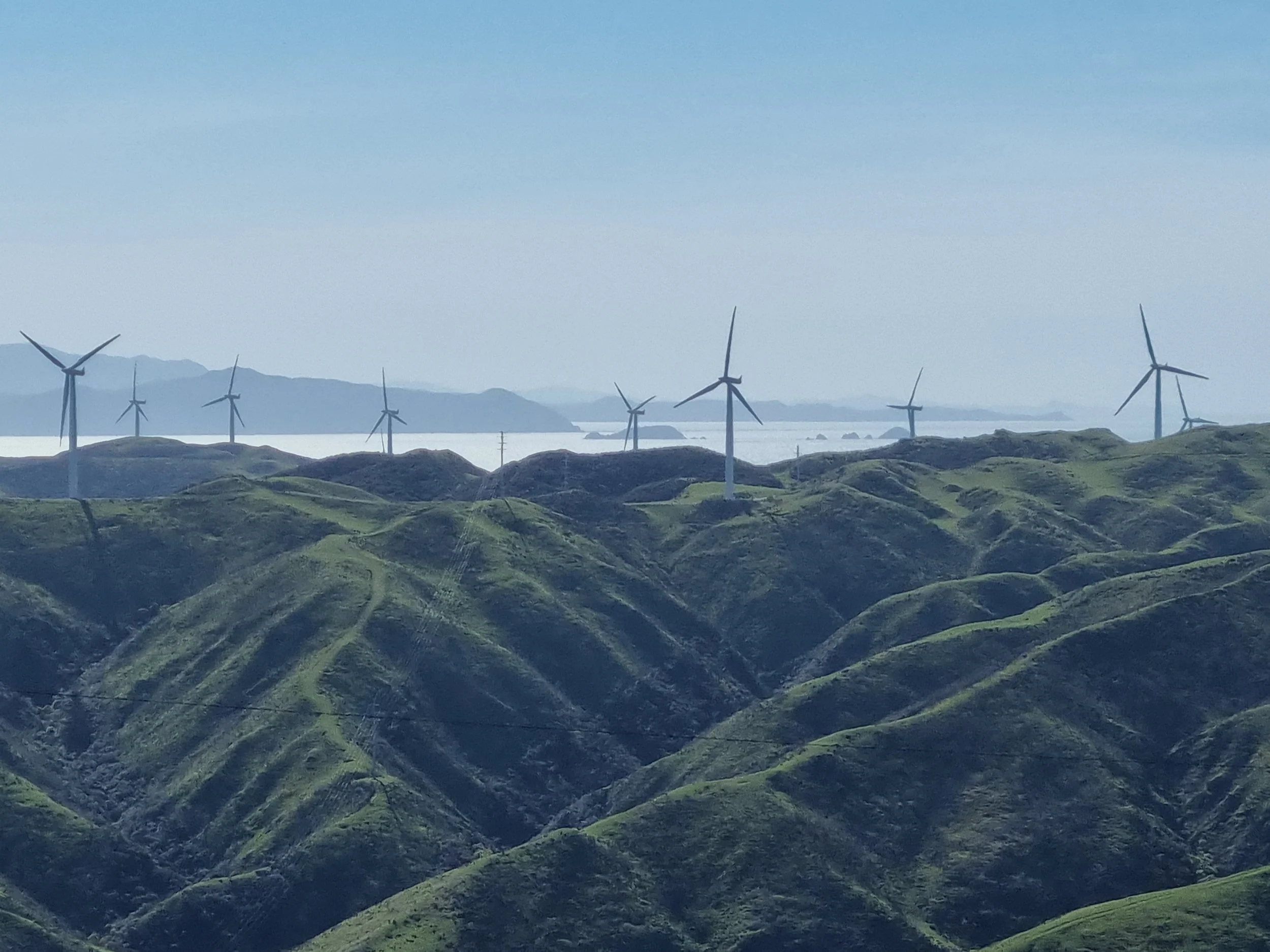 Green rolling hills with wind turbines on the ridges in Wellington, New Zealand