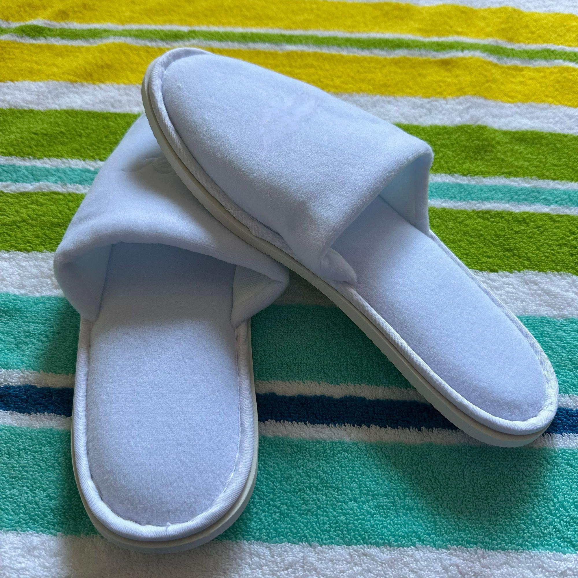 Premium Slipper 3.png