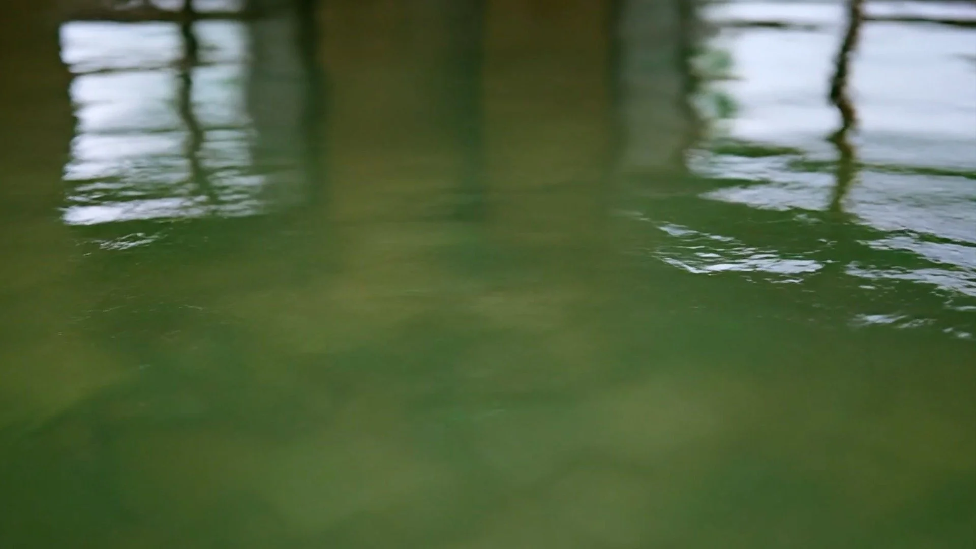 Fallback Image Final.jpg