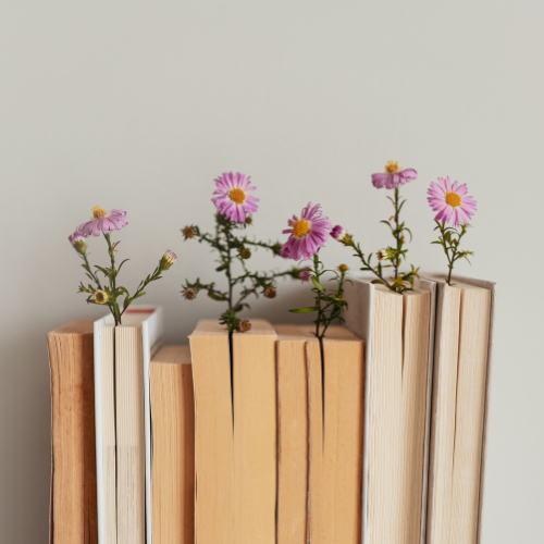 Books arranged upright with small pink daisies growing through them