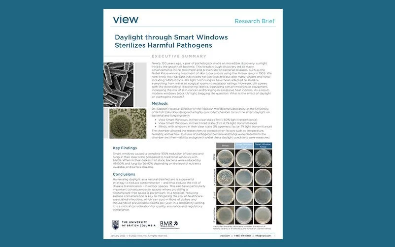Daylight through Smart Windows Sterilizes Harmful Pathogens