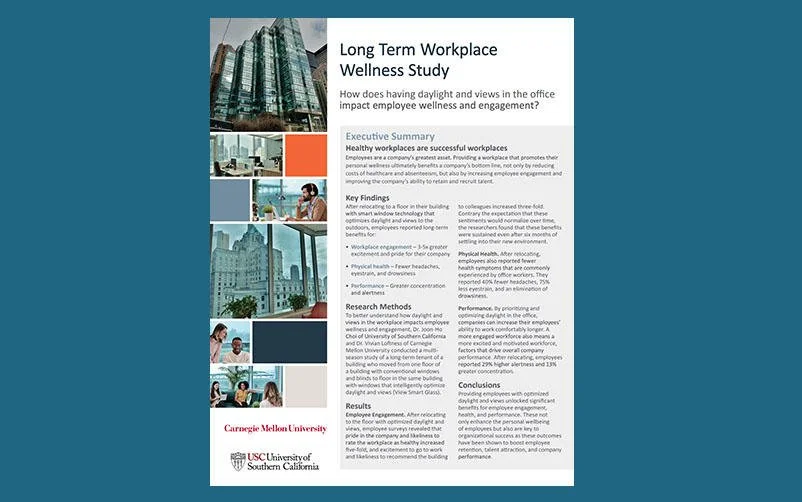 Long Term Workplace Wellness Study