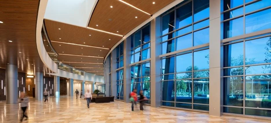 Study: Employees Desire Natural Light and Views Over Any Other Office Perk