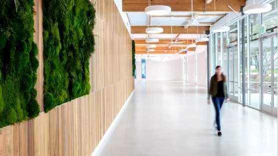 Net-Zero Office Building at 380 Pastoria with View Dynamic Glass Recognized with Silicon Valley Business Journal Structures Award