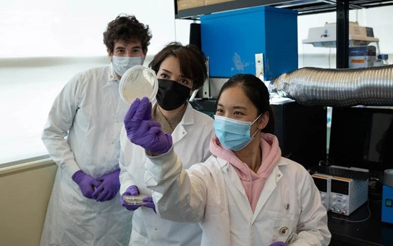 Study: Smart Windows Significantly Reduce Indoor Pathogens, including MRSA