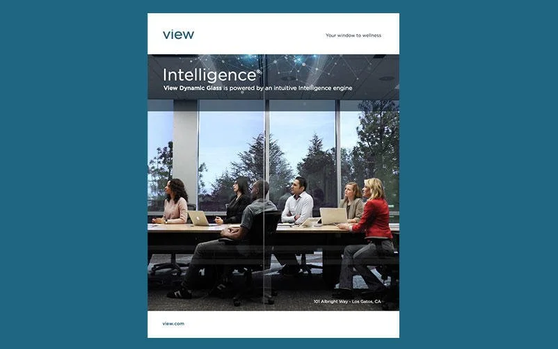 View Intelligence Overview
