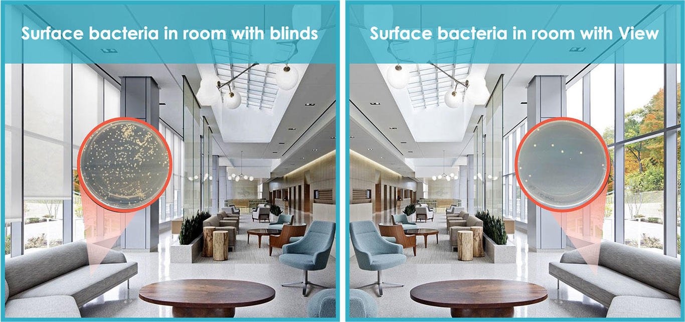 Comparison of surface bacteria levels in a room with blinds and a room with view, showing more bacteria in the room with blinds.