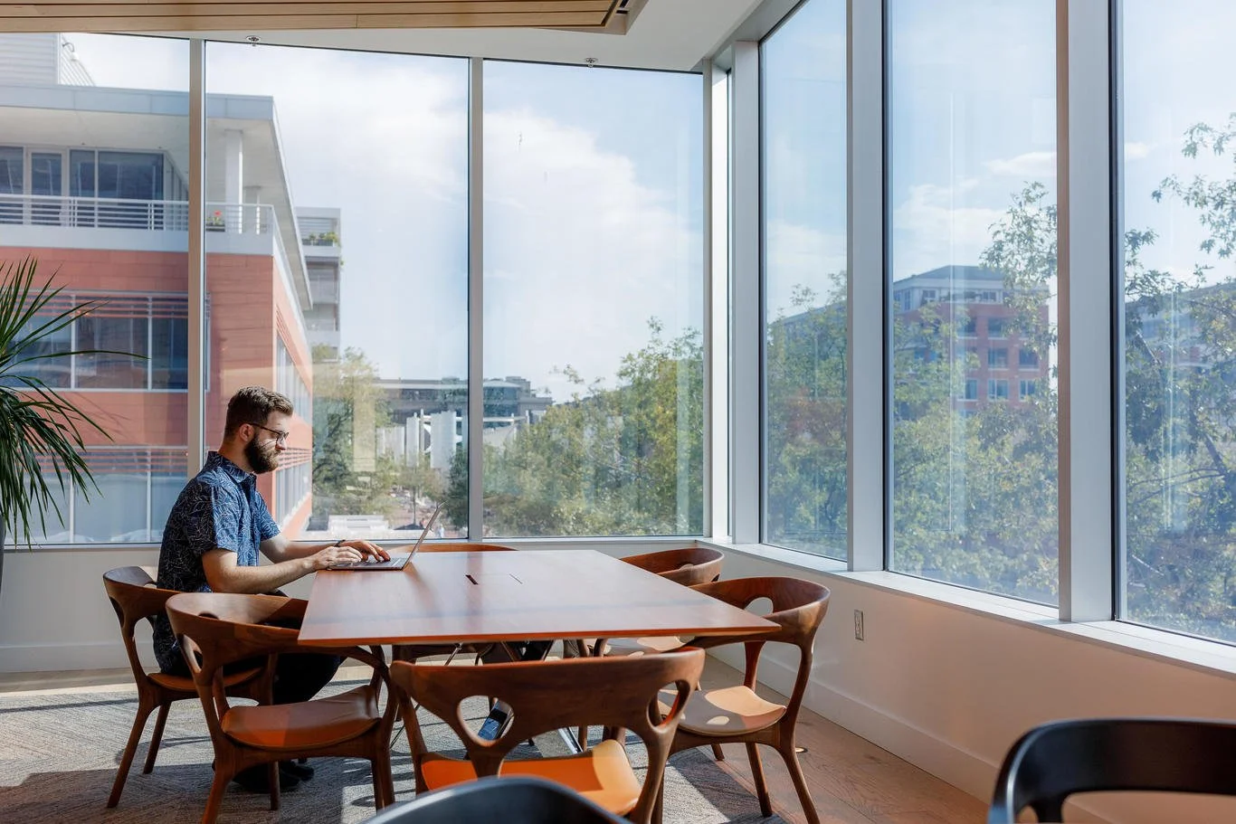Man working on a laptop at a large wooden table in a bright office with floor-to-ceiling windows and a view of buildings and trees outside.