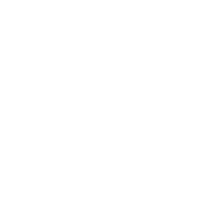 Icon of a sun with rays extending outward.