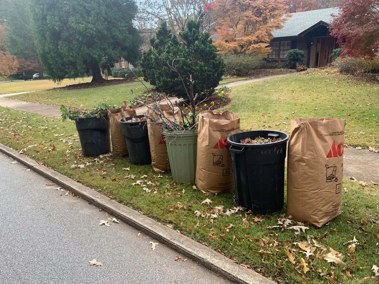 Yard Waste Removal