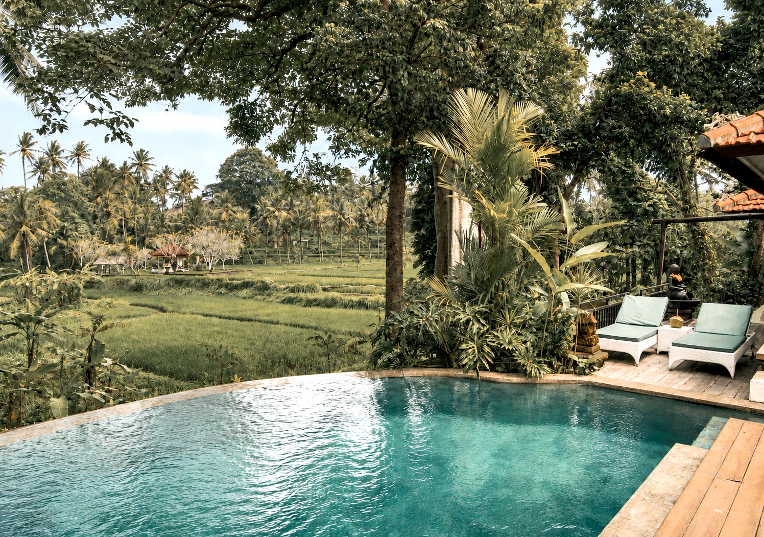 Swimming pool surrounded by lush tropical plants and trees, with lounge chairs on a wooden deck and a green rice field in the background.