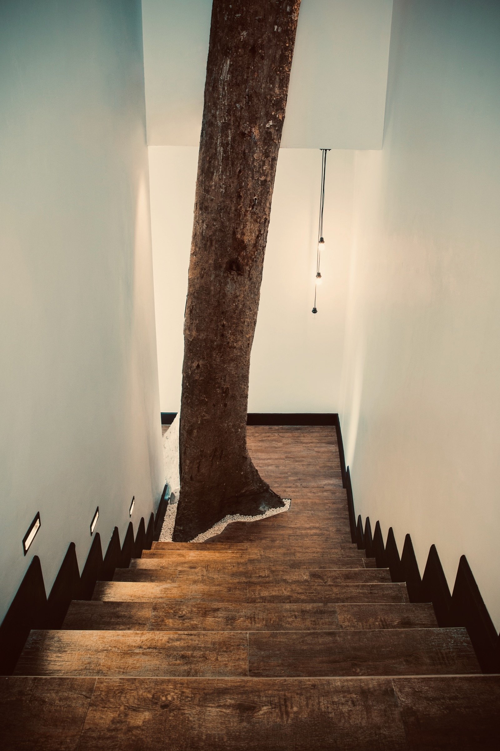 Treehouse tree in stairwell.jpeg
