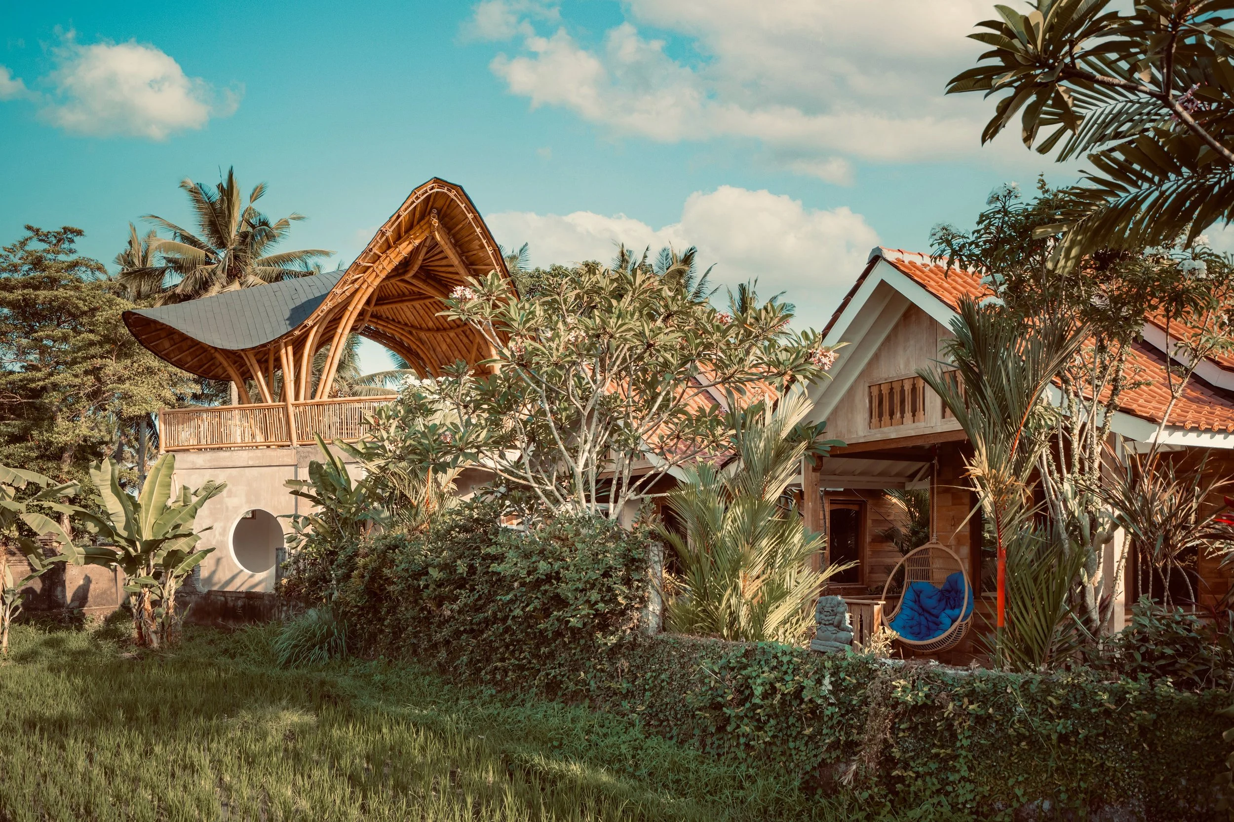 Rani Villa view from ricefield.jpeg