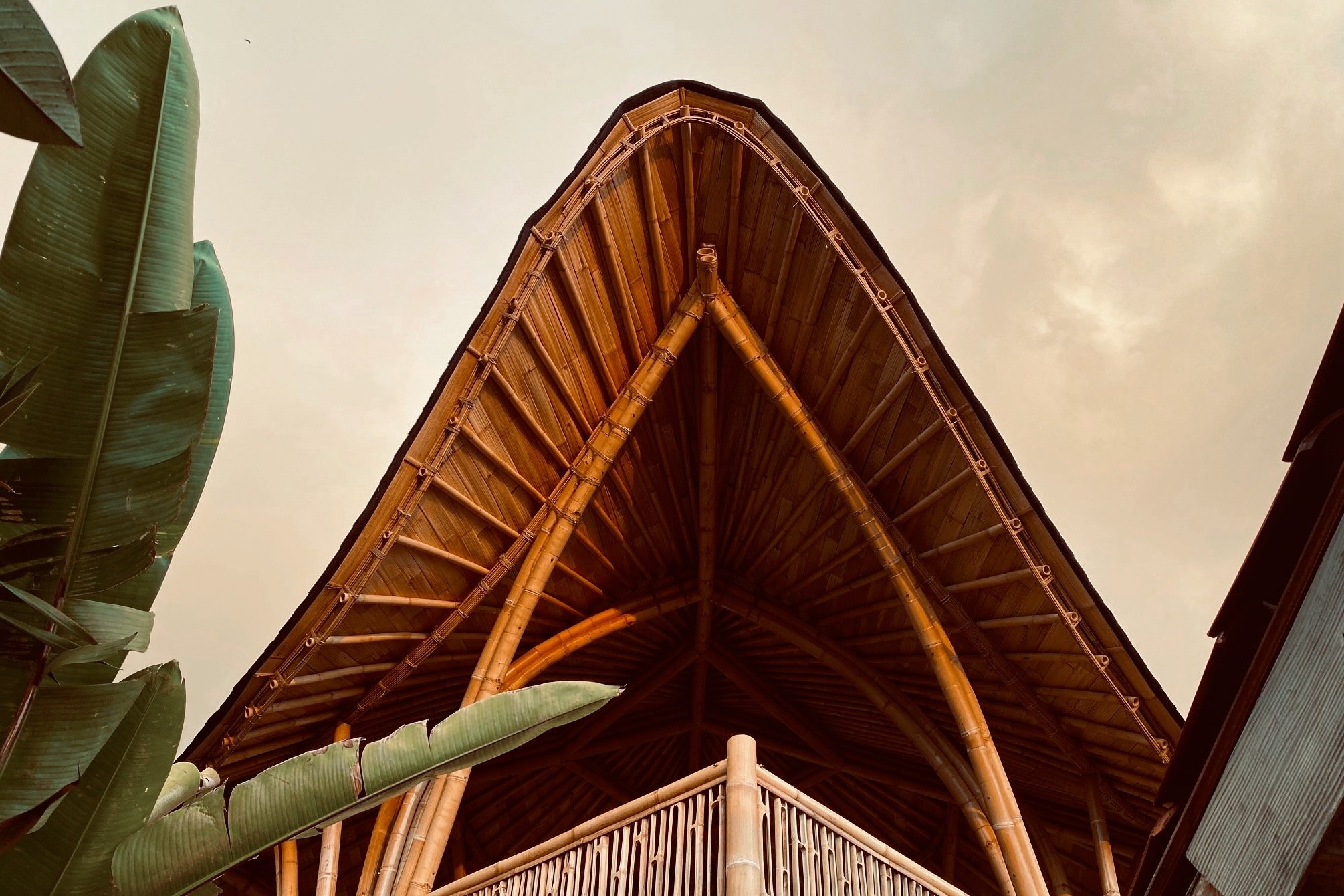 Rani Villa bamboo roof detail.jpeg