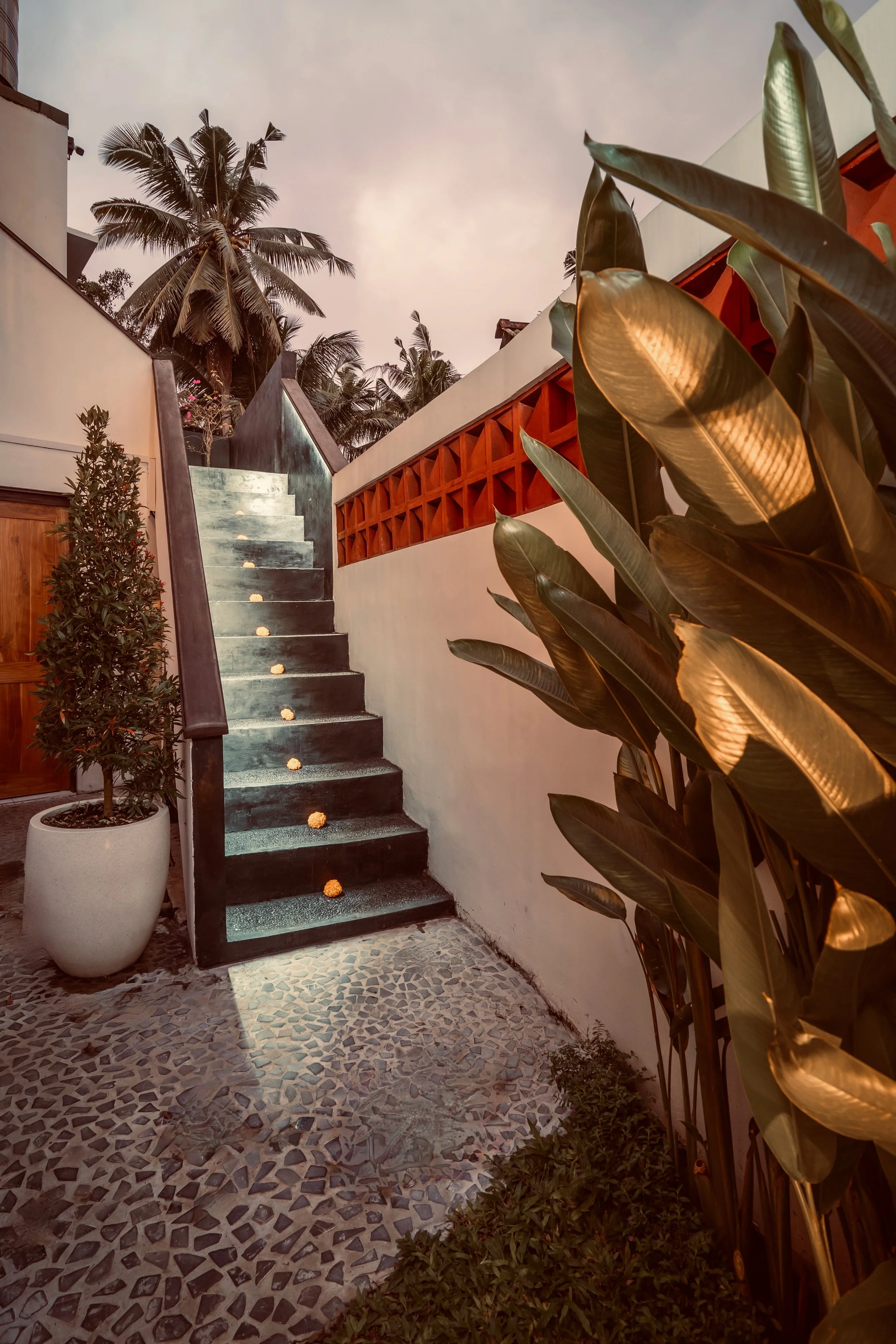 Rani Villa stairs to rooftop.jpeg