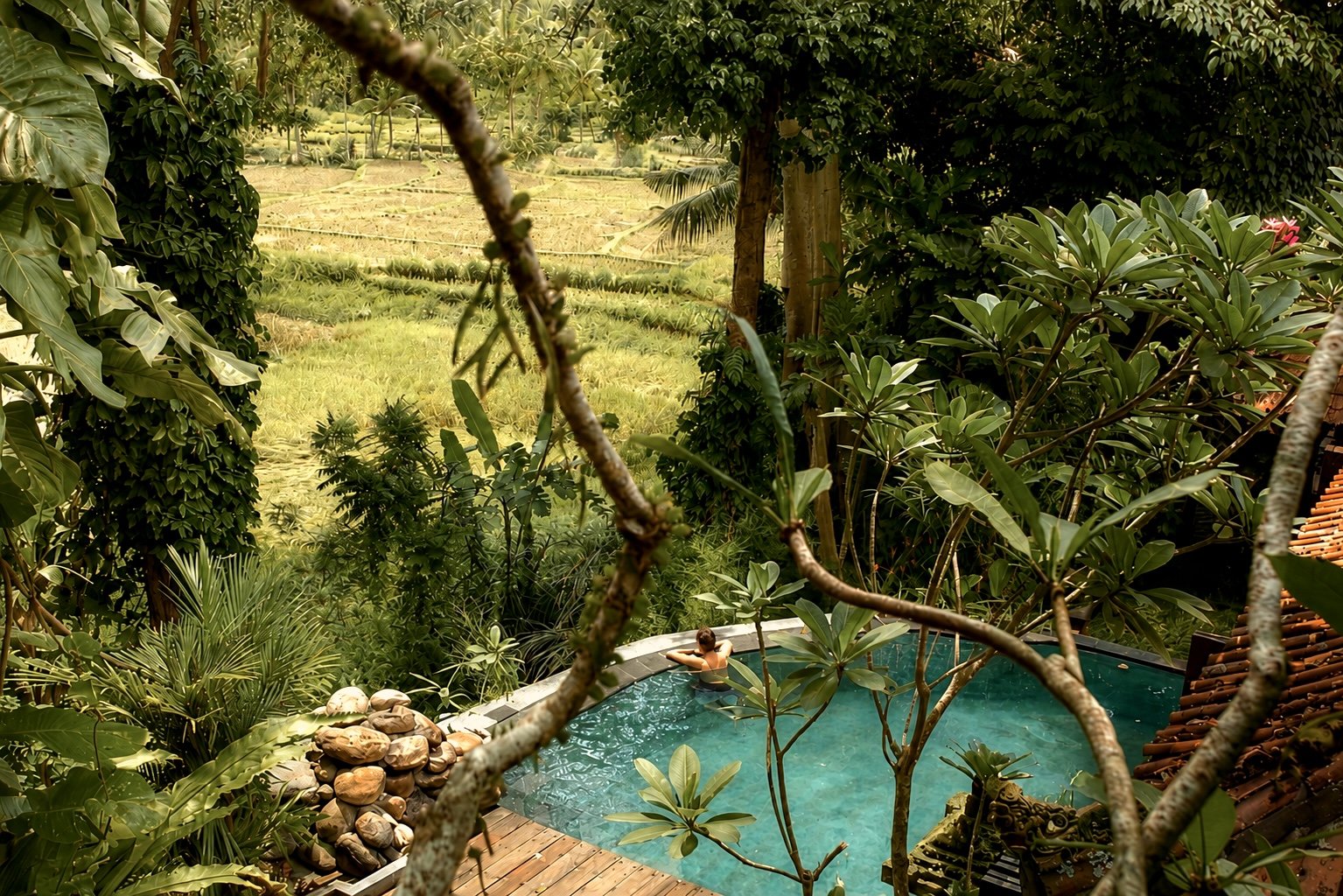 Person relaxing in a small pool surrounded by lush green tropical plants and trees, with a grassy field in the background.