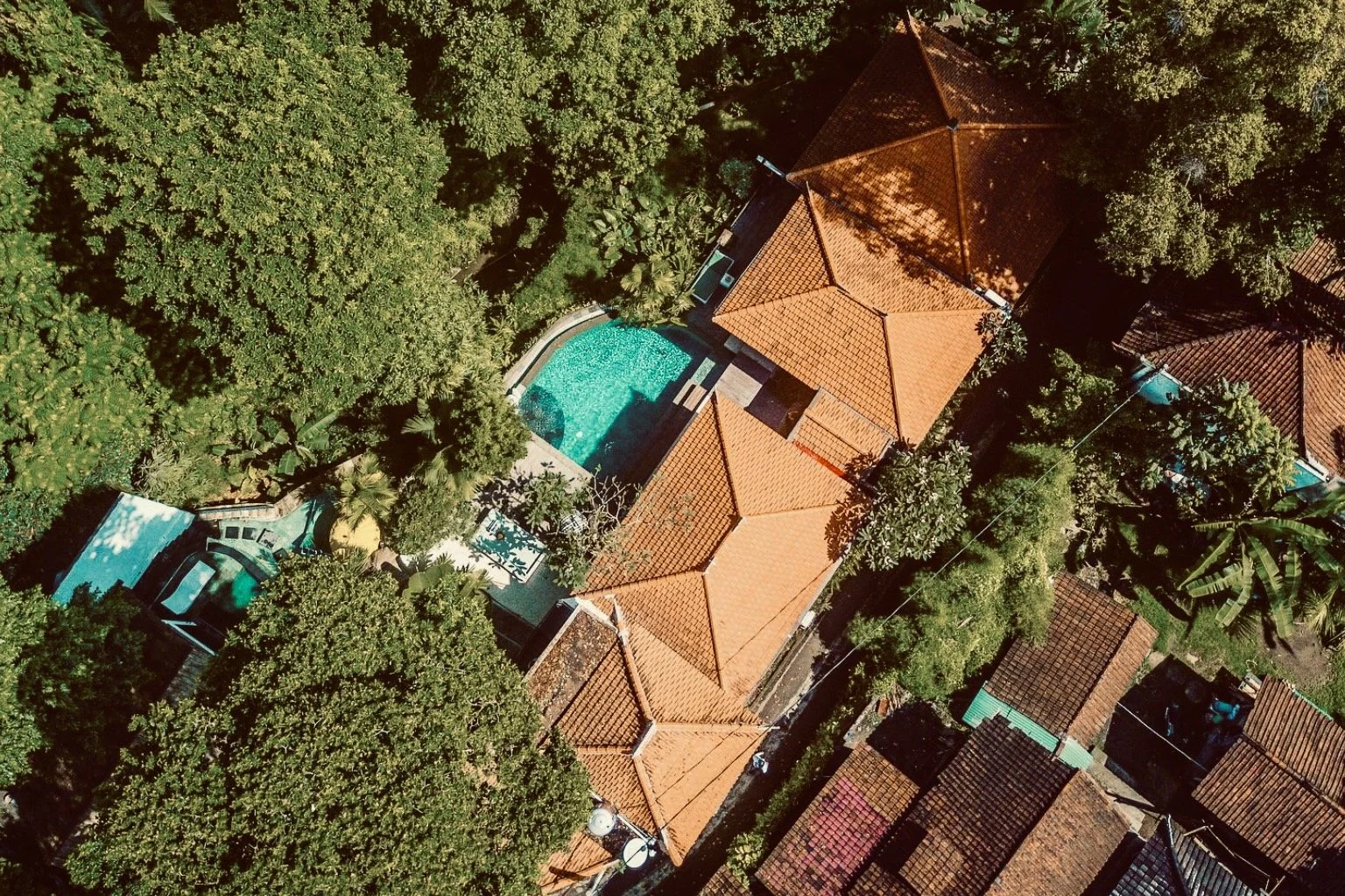 Oasis Birds eye.jpeg