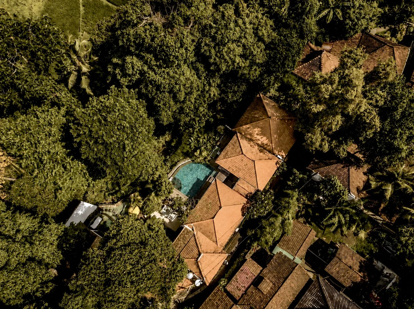 Aerial view of a residential area with rooftops, trees, and a swimming pool surrounded by a fence.
