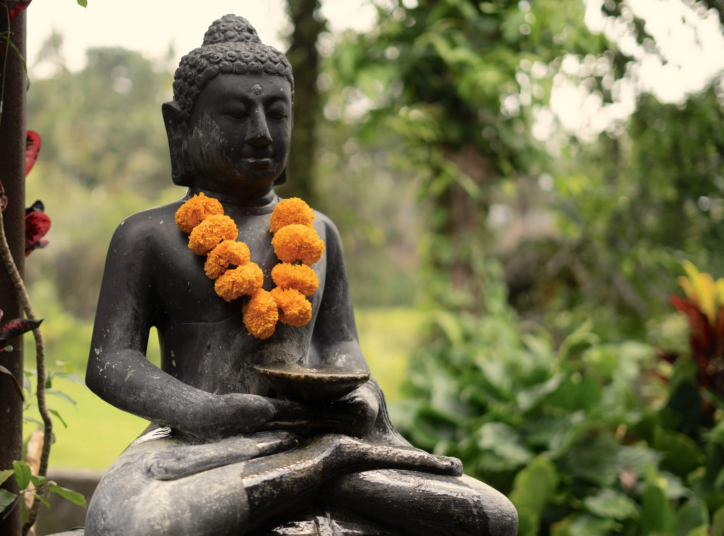 Black Buddha statue sitting in a meditative pose, adorned with yellow marigold flower garlands, outdoors with green trees in the background.