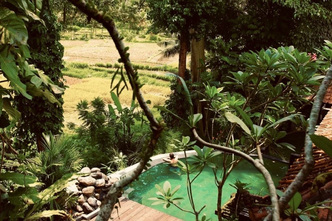 Oasis Exterior_elevated view.jpeg